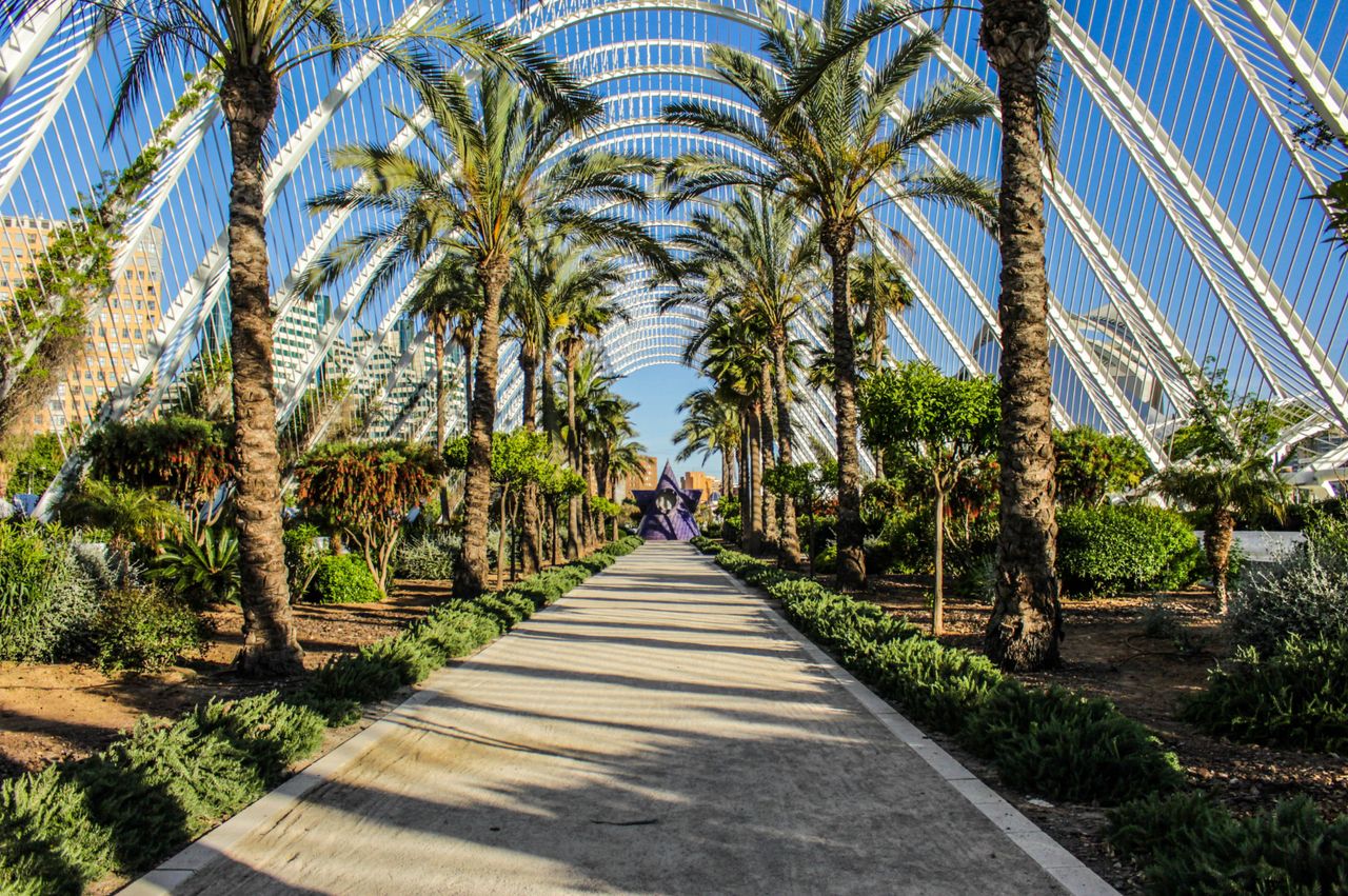 Cómo aprovechar al máximo tu experiencia coliving en Valencia