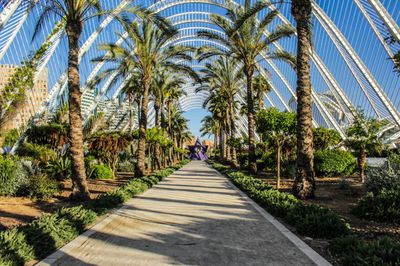 Cómo aprovechar al máximo tu experiencia coliving en Valencia